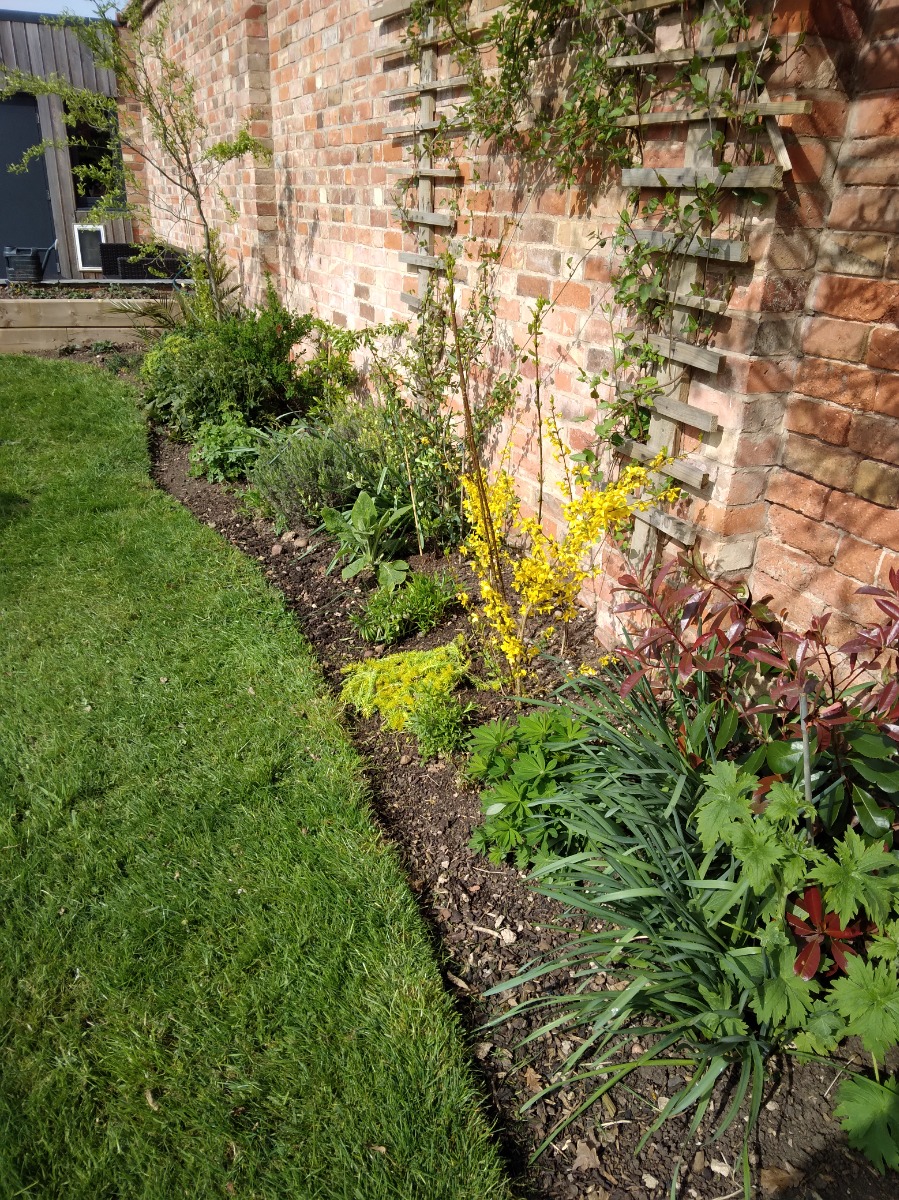 Gardener: Image 2